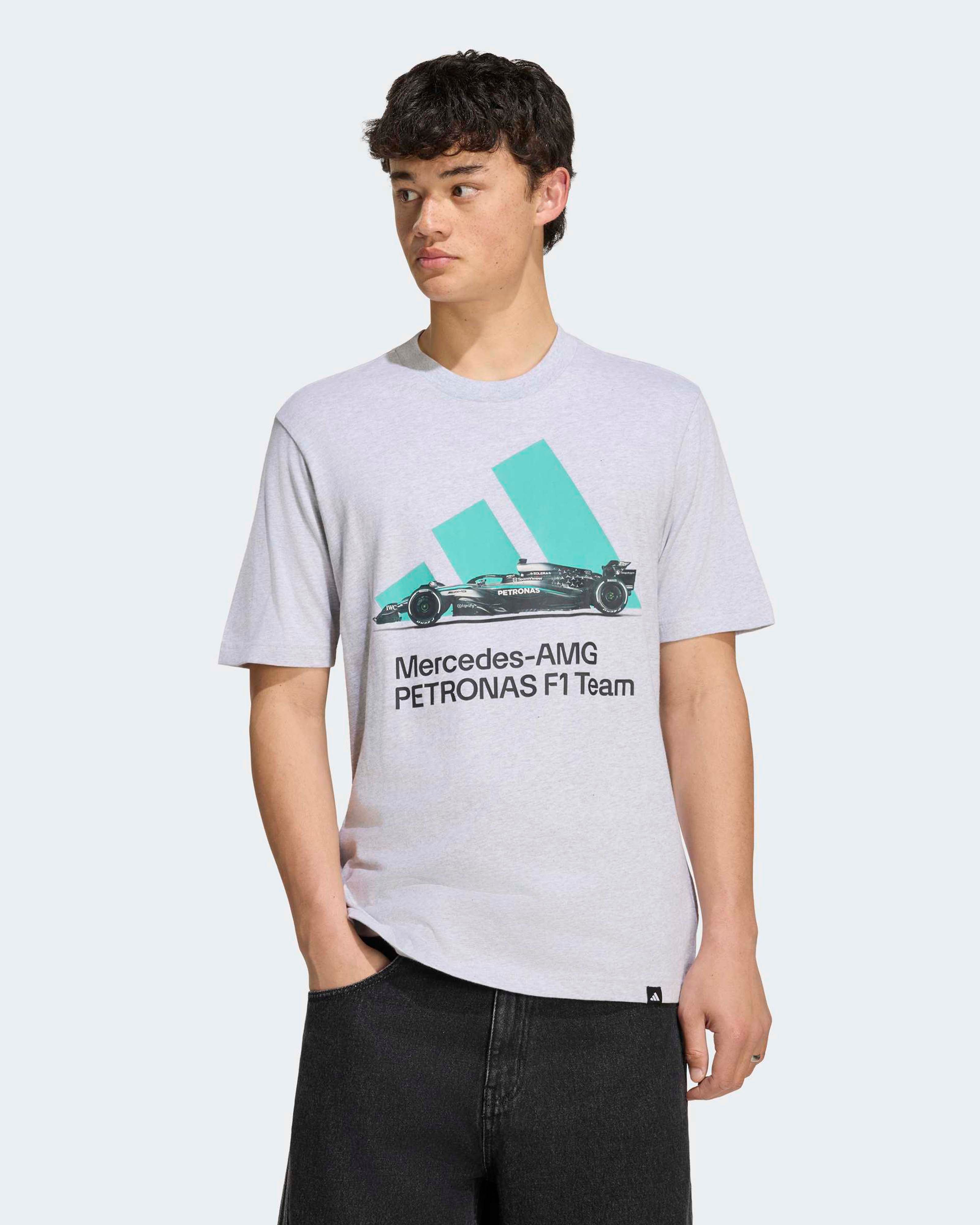 Mercedes-AMG PETRONAS F1 Team Men's Graphic T-shirt - Gray (2026