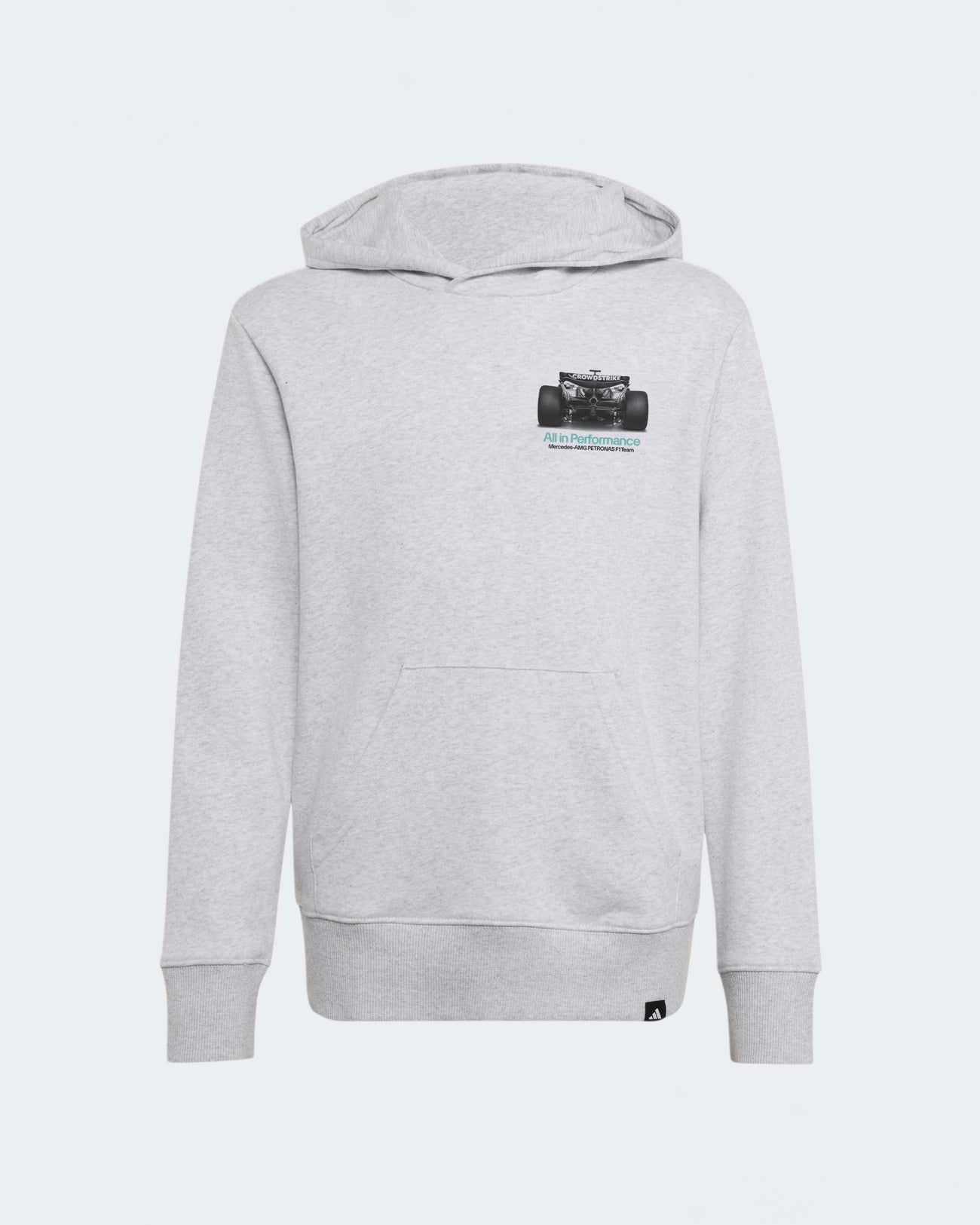 Kids Graphic Hoody Grey