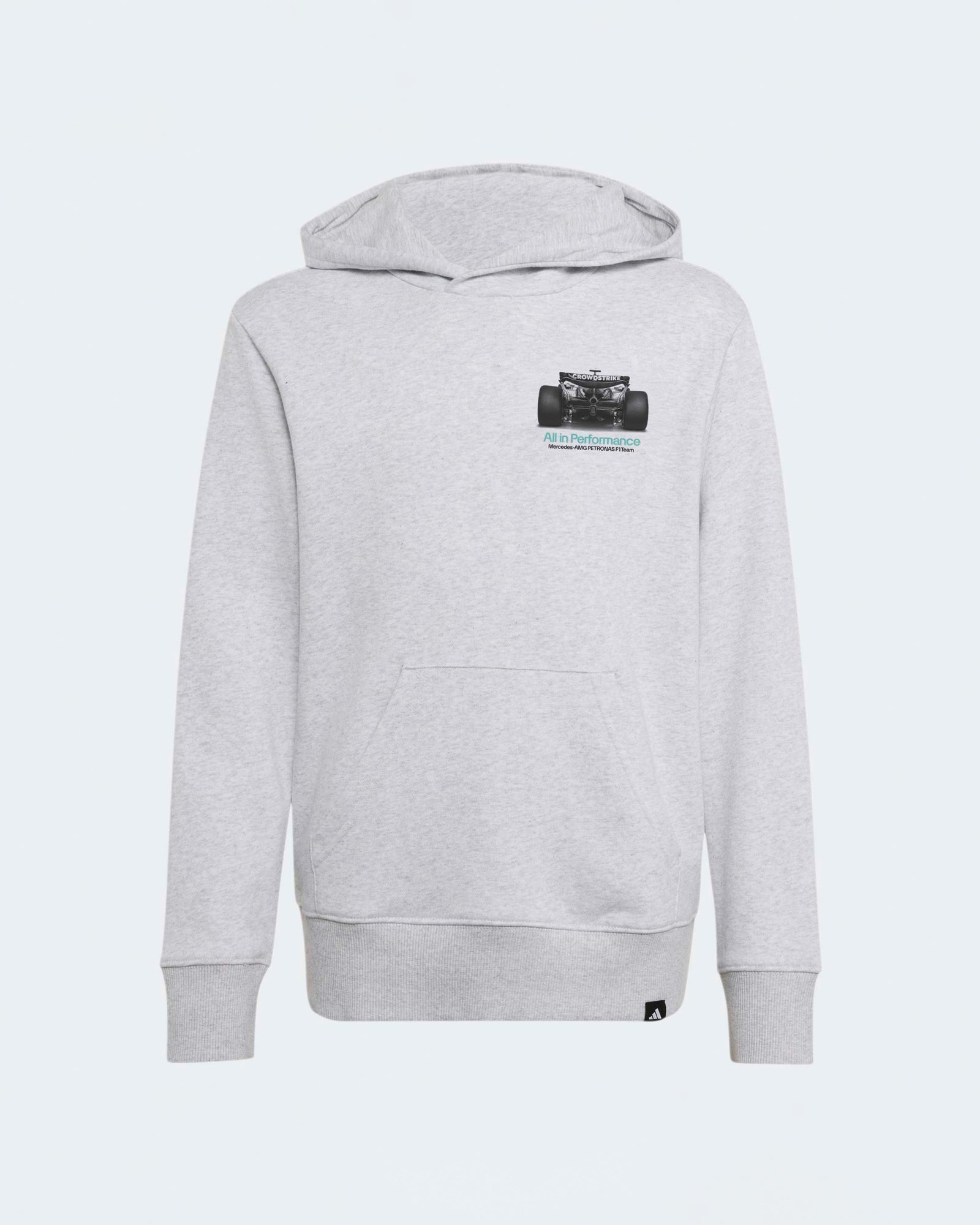 Kids Graphic Hoody Grey
