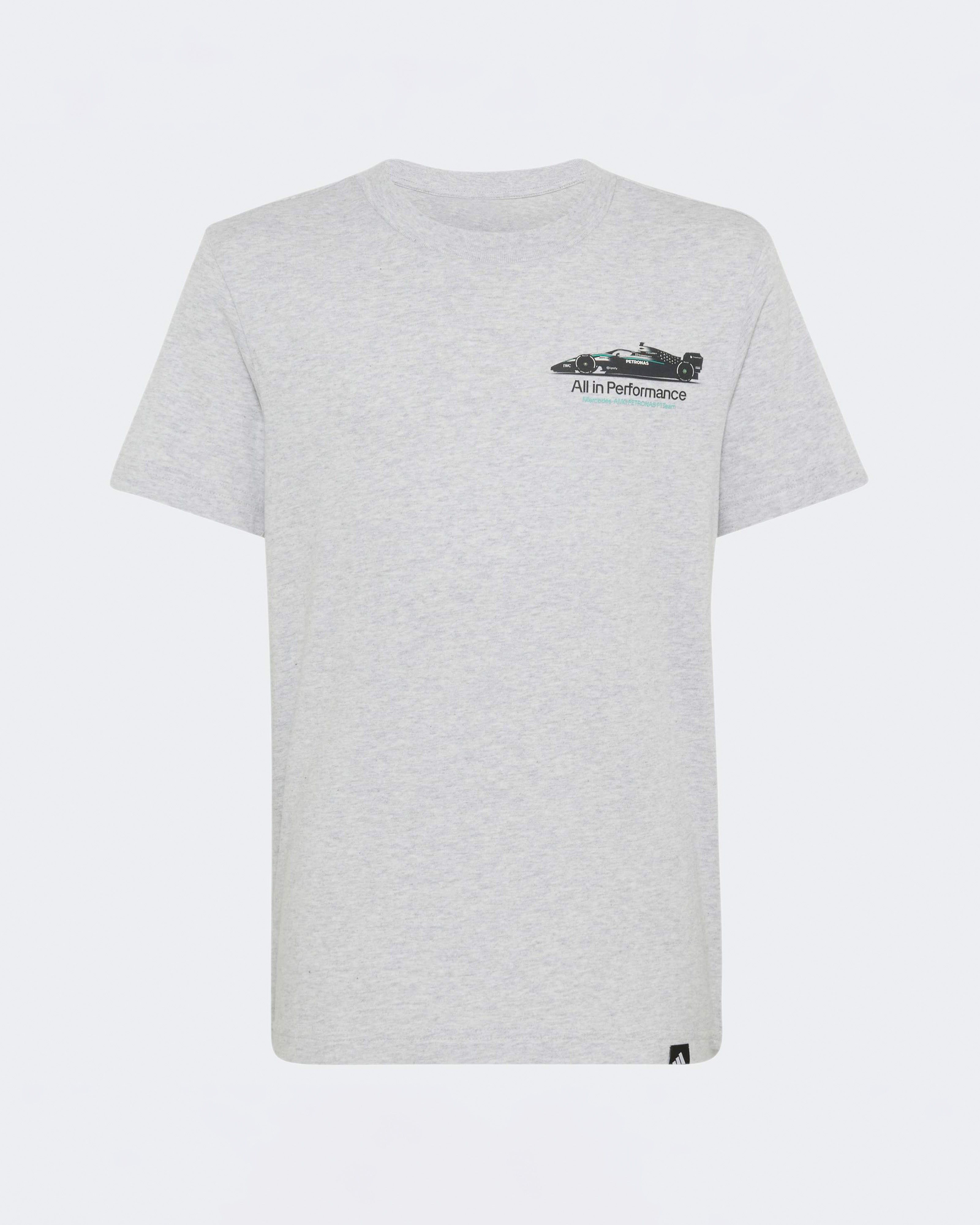Kids Graphic W16 T-shirt Grey