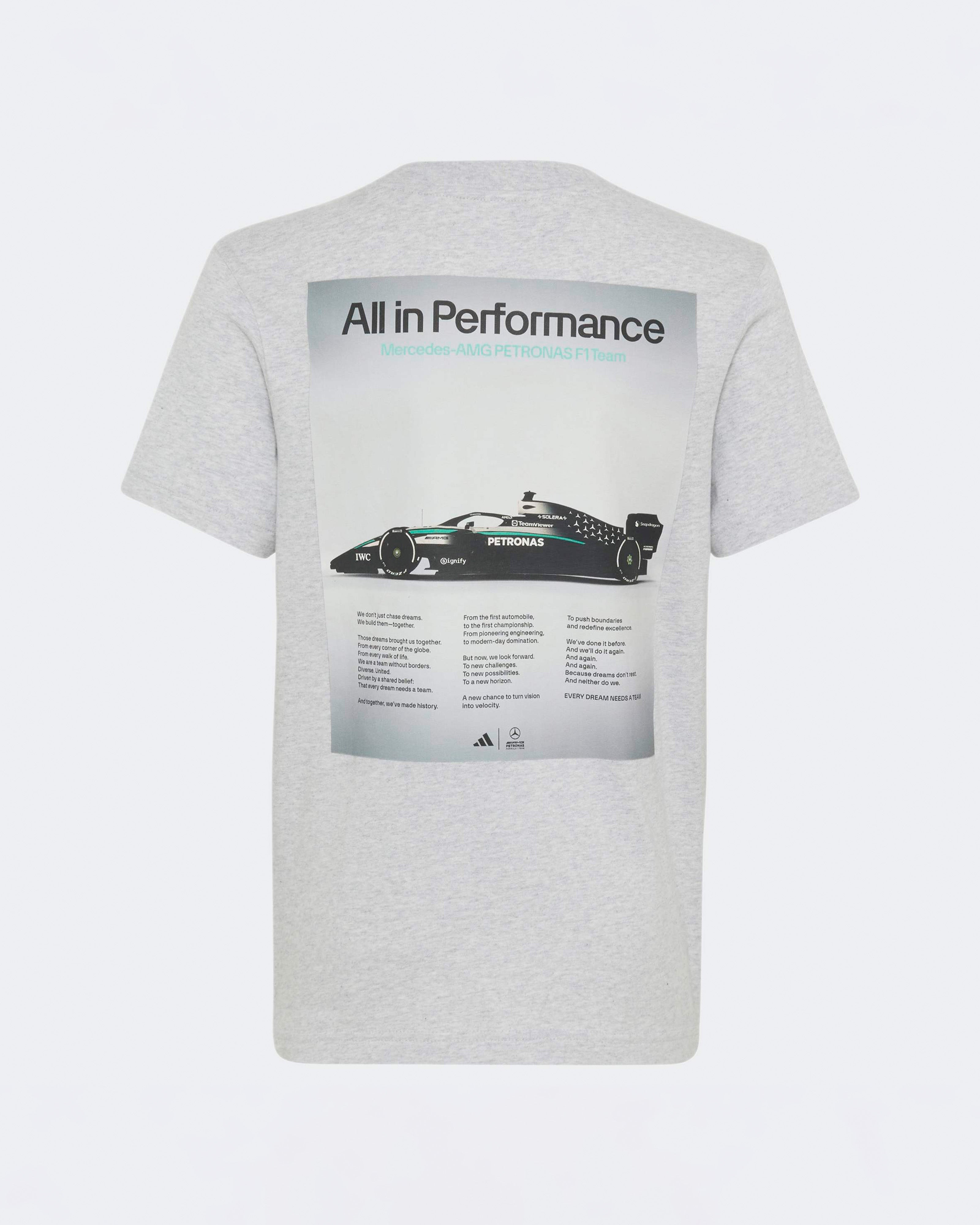 Kids Graphic W16 T-shirt Grey