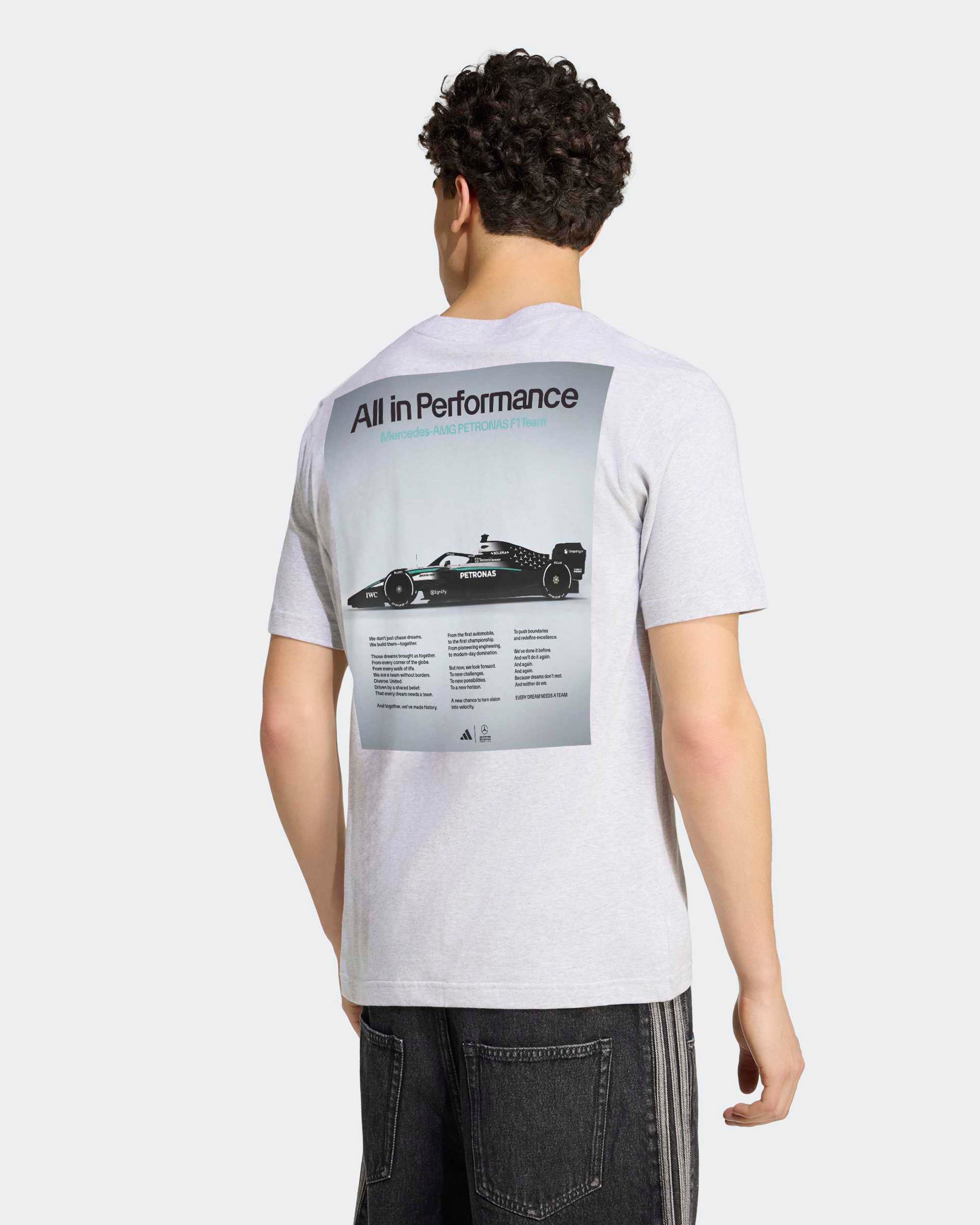 Mens Graphic W16 T-shirt Grey