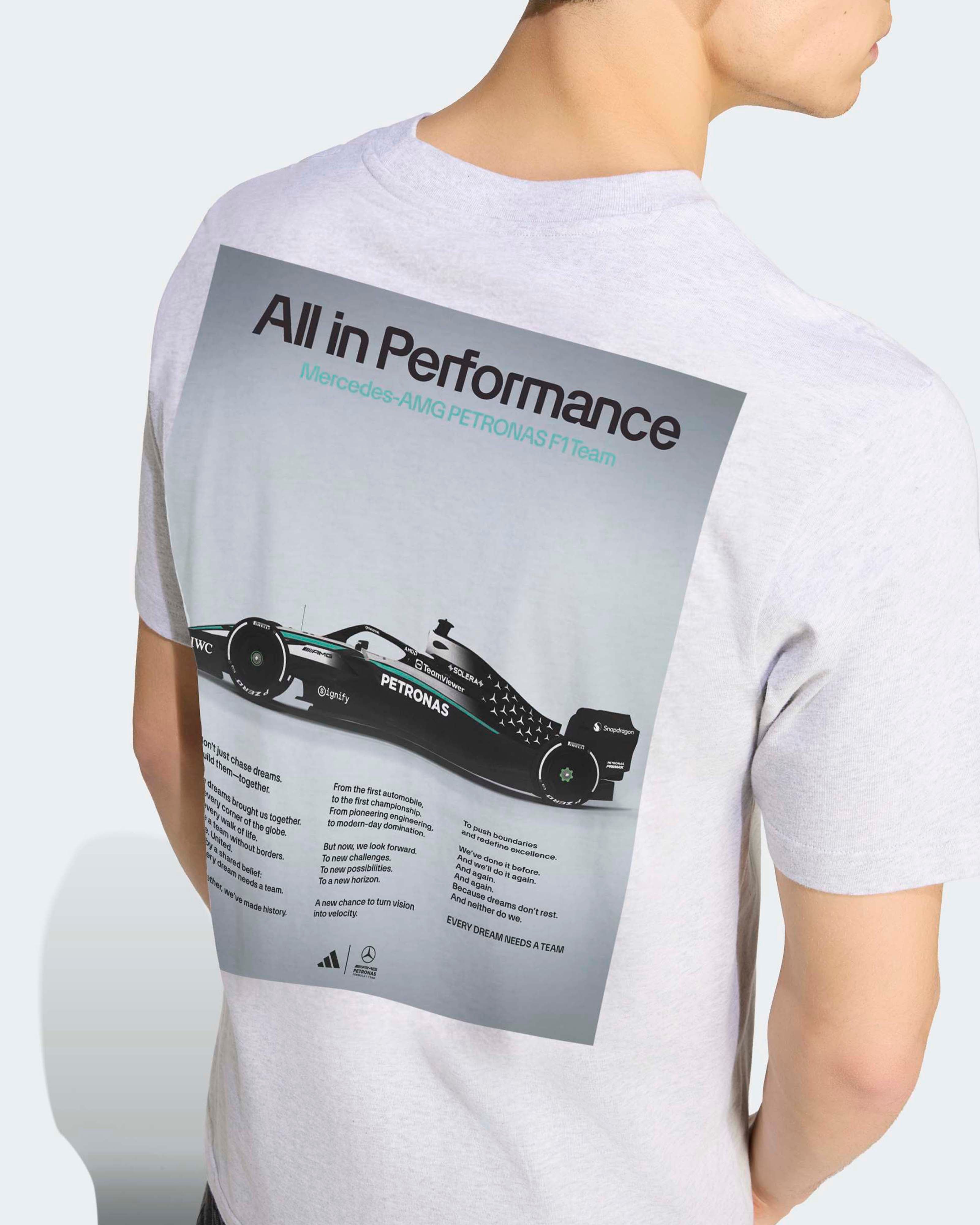 Mens Graphic W16 T-shirt Grey