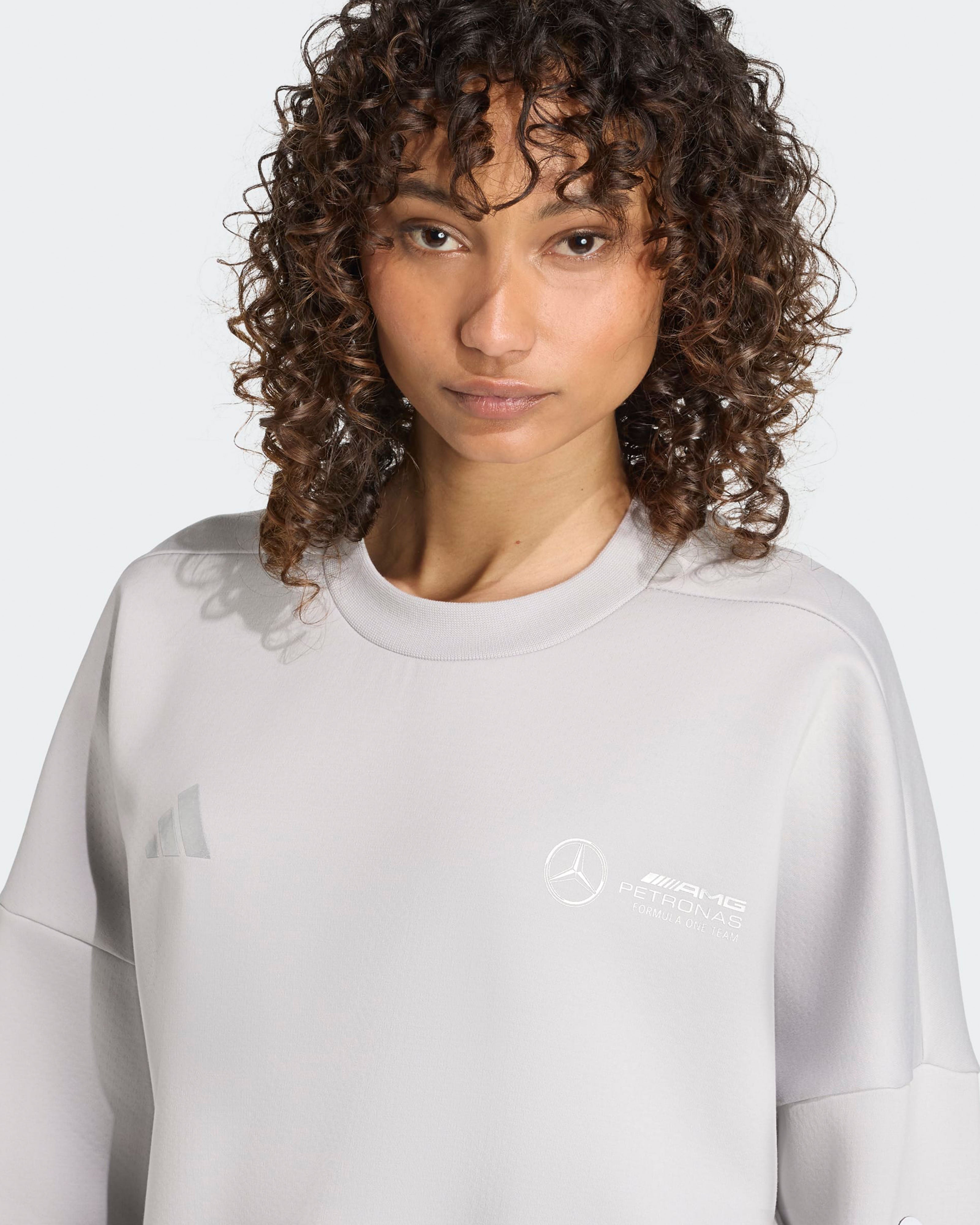 Womens Silver Arrows Sweatshirt Grey