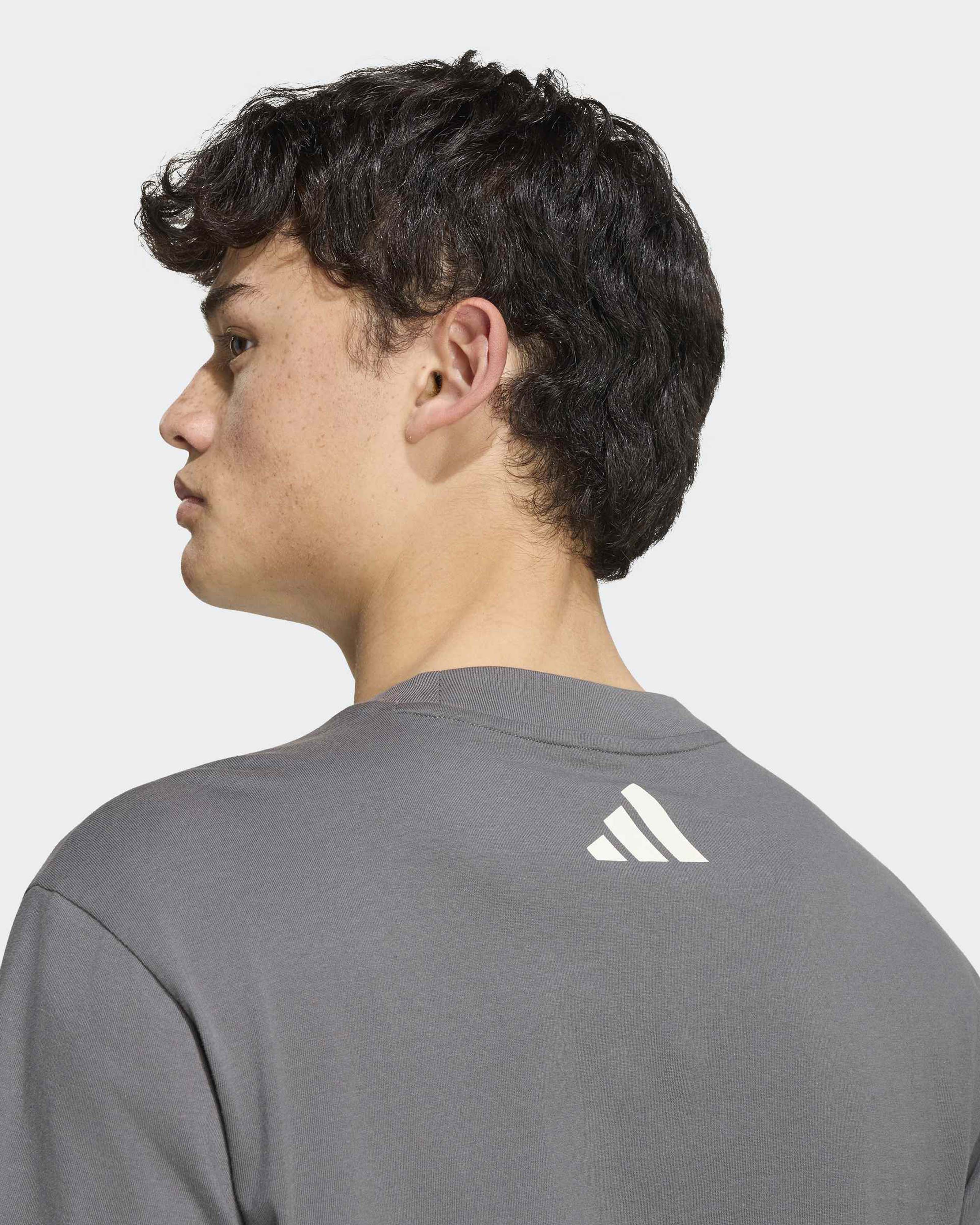 Mercedes-AMG PETRONAS F1 Team Men's Silver Arrows T-shirt - Gray