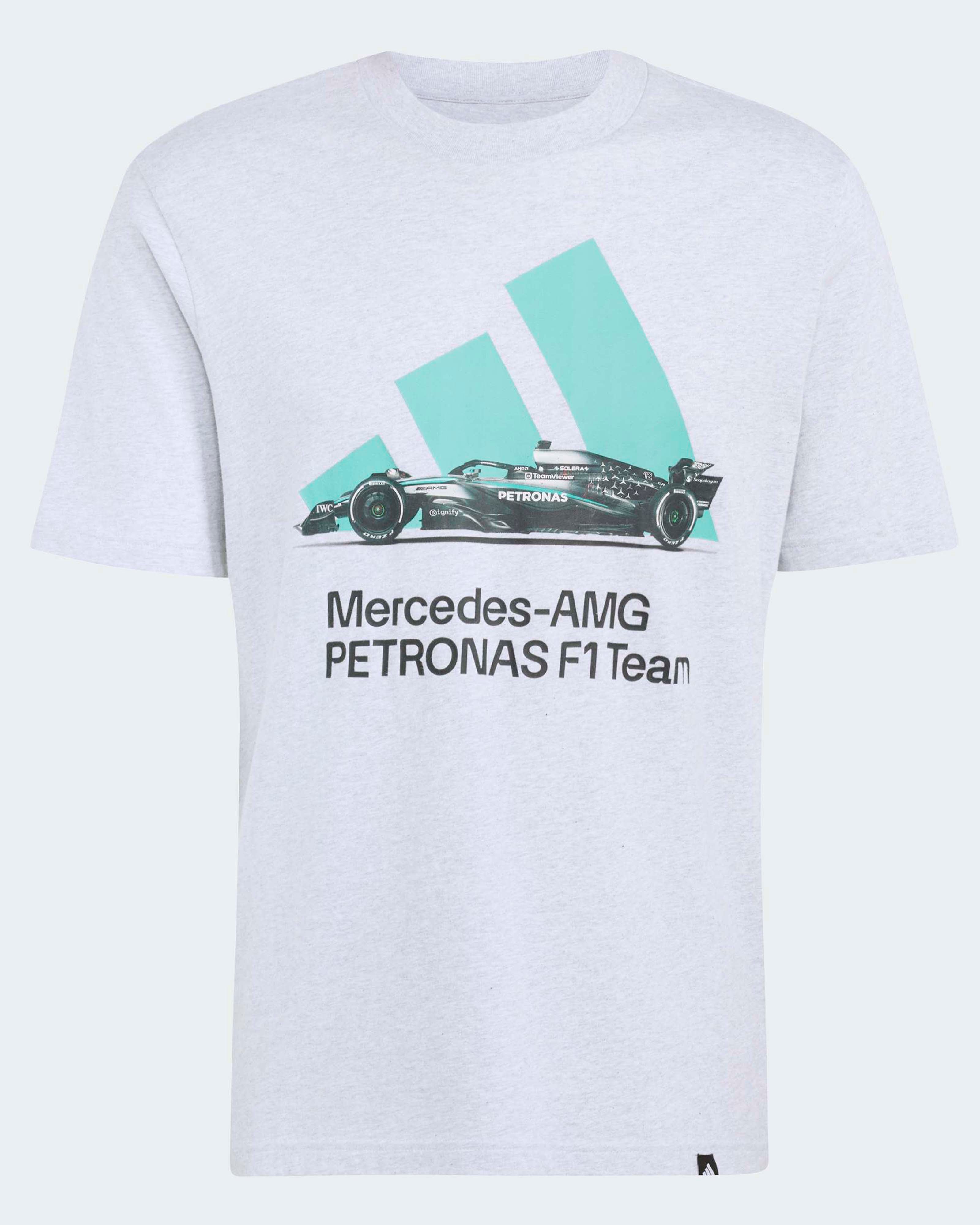 Mens Graphic T-shirt Grey
