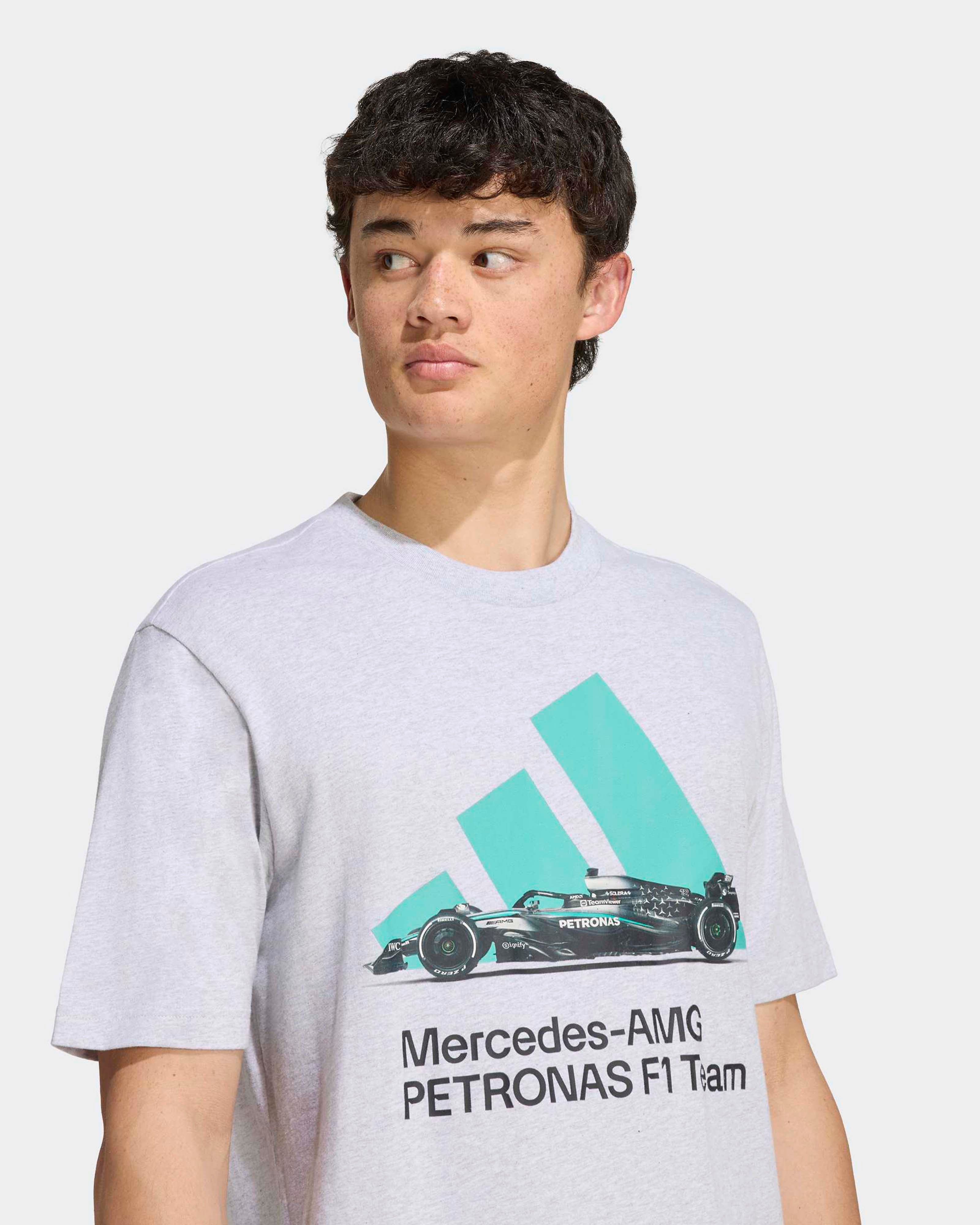 Mens Graphic T-shirt Grey