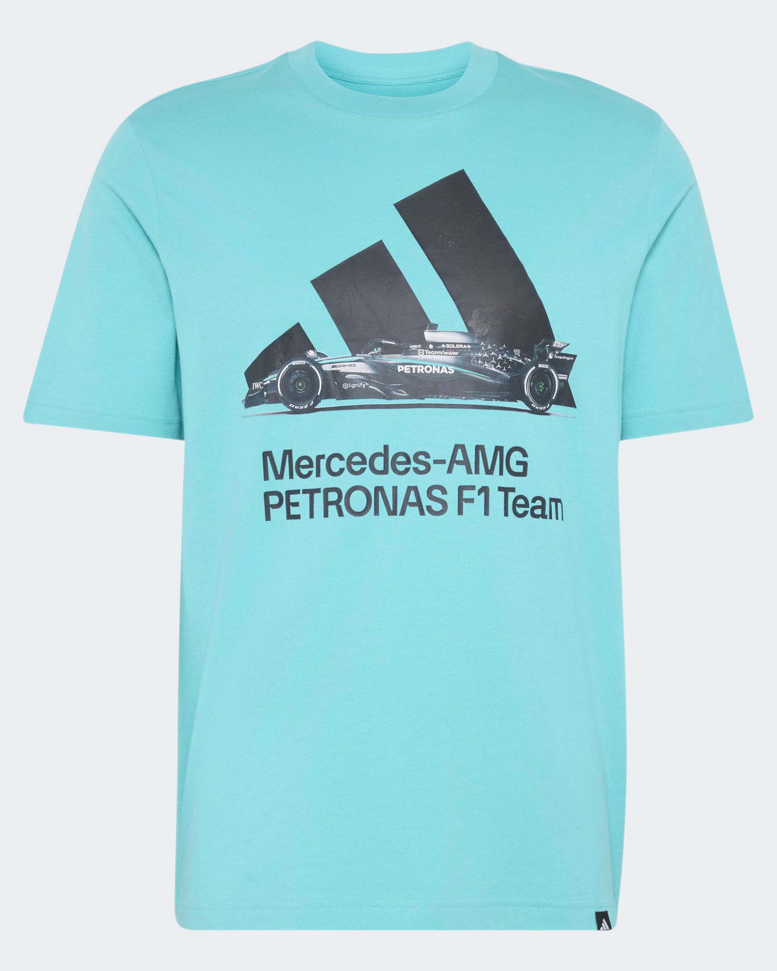 Mens Graphic T-shirt Teal
