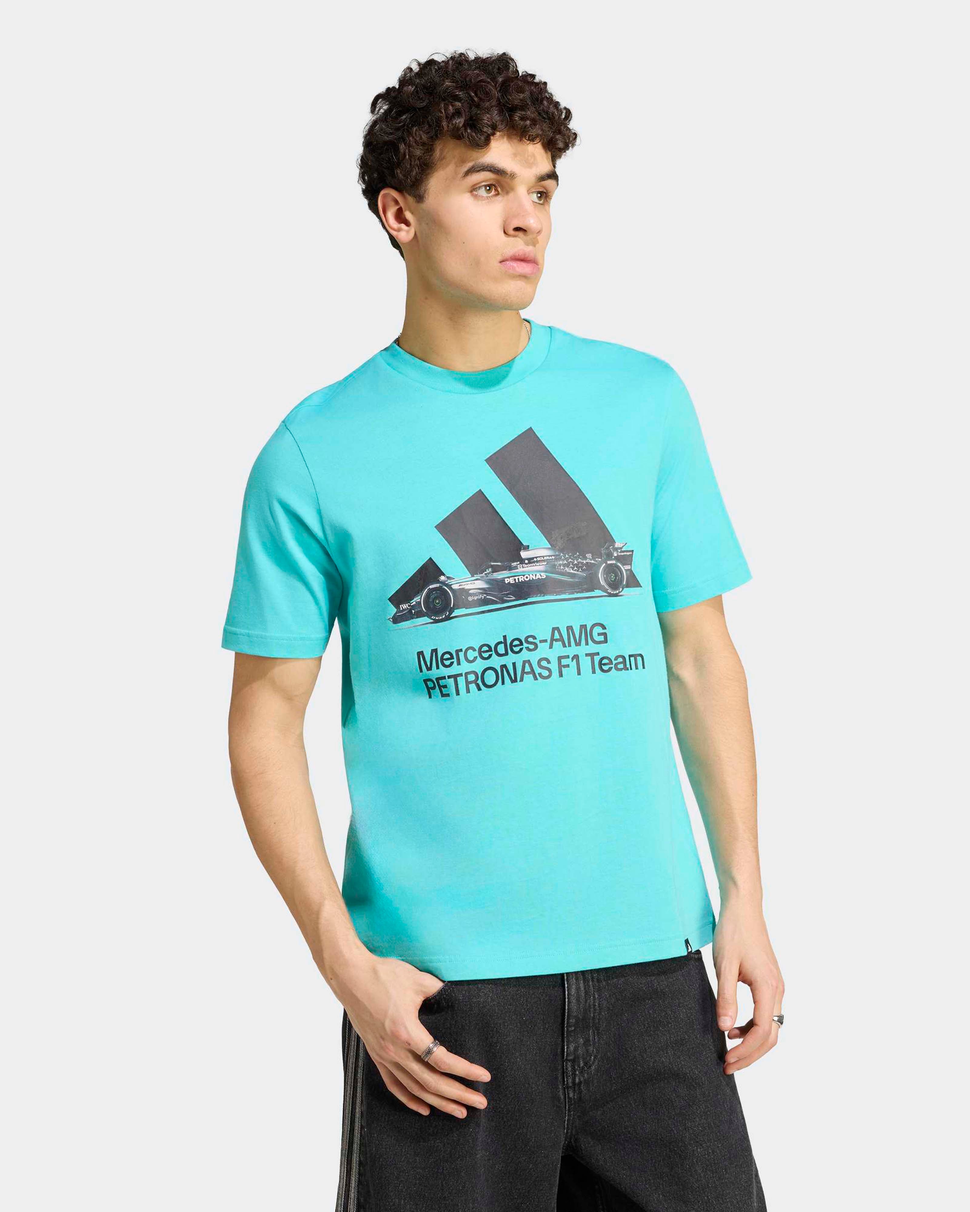 Mens Graphic T-shirt Teal