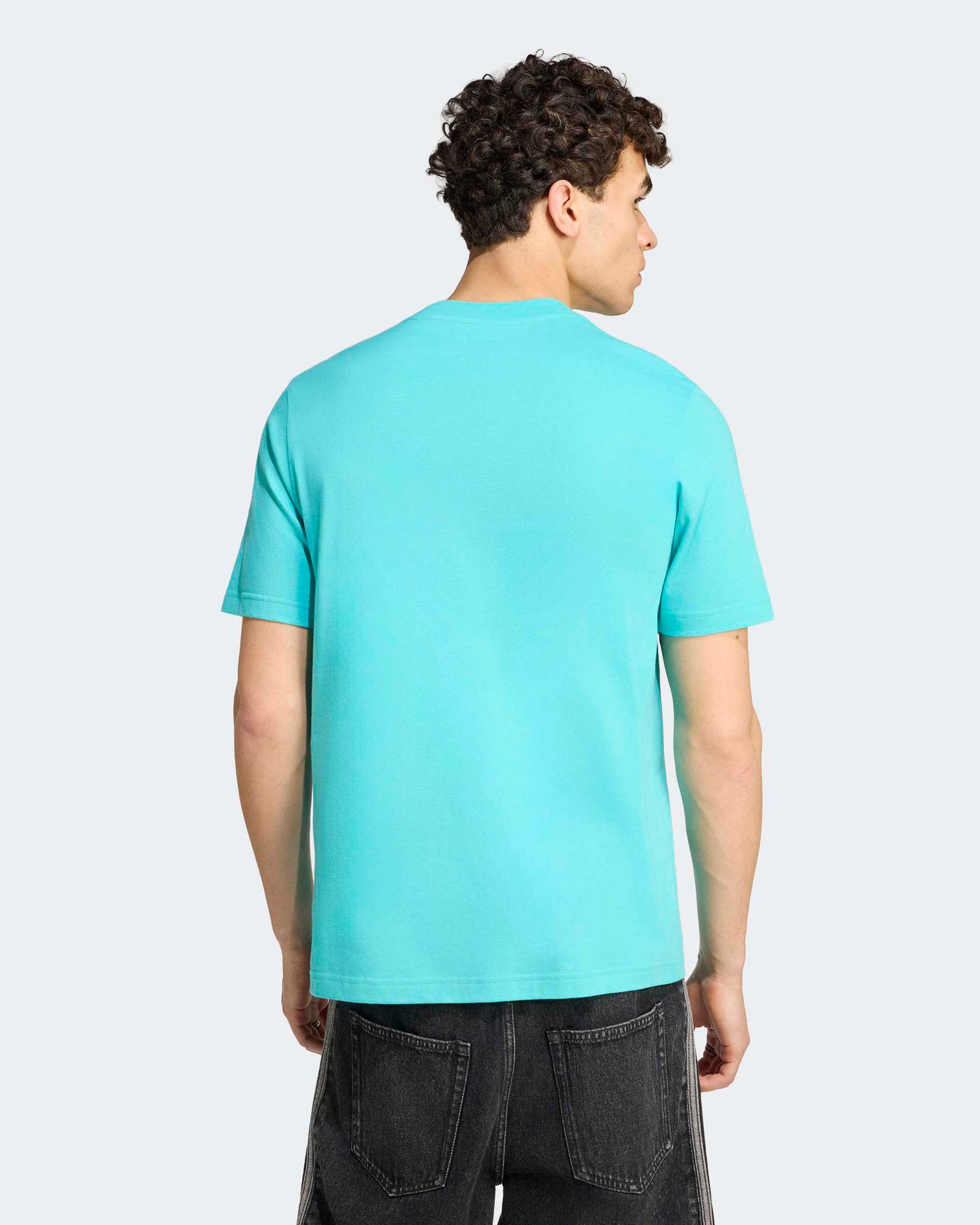 Mens Graphic T-shirt Teal
