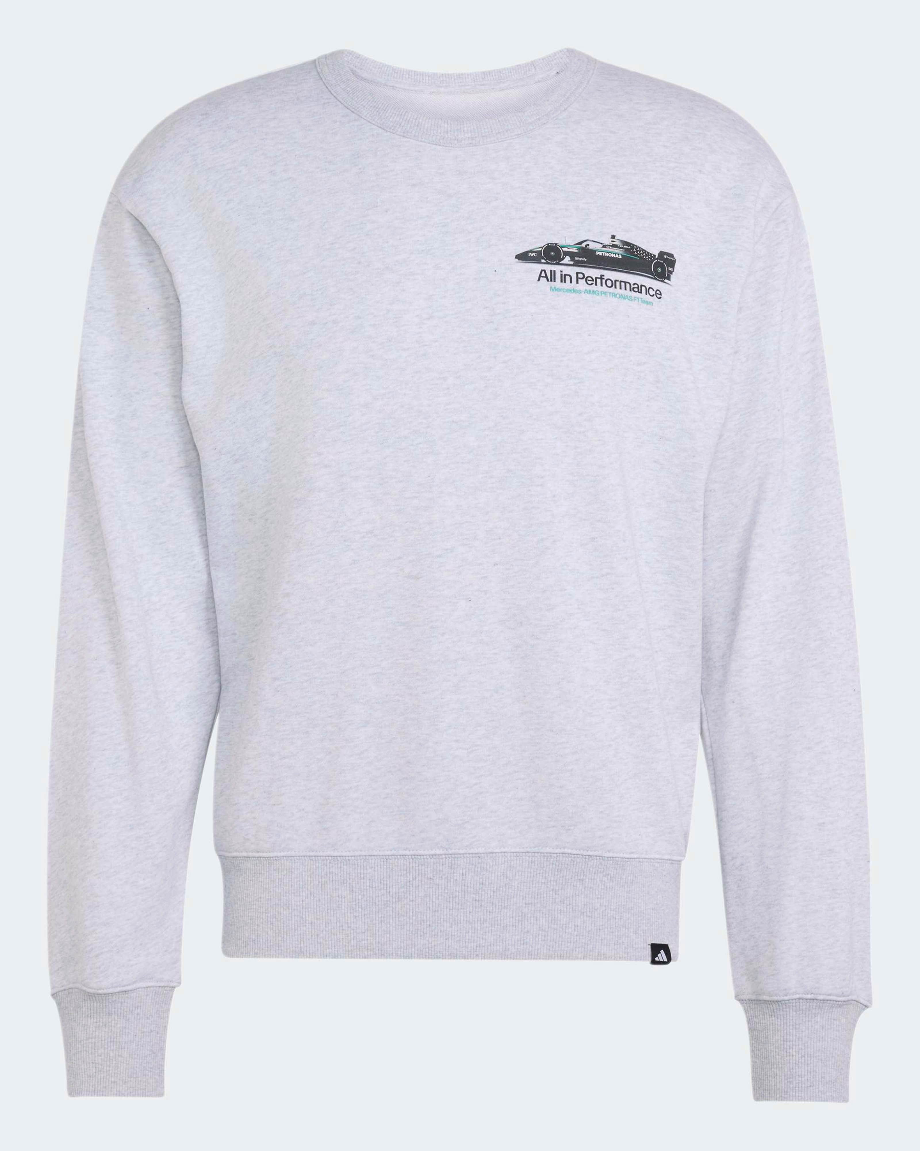 Mens Graphic Sweatshirt Grey