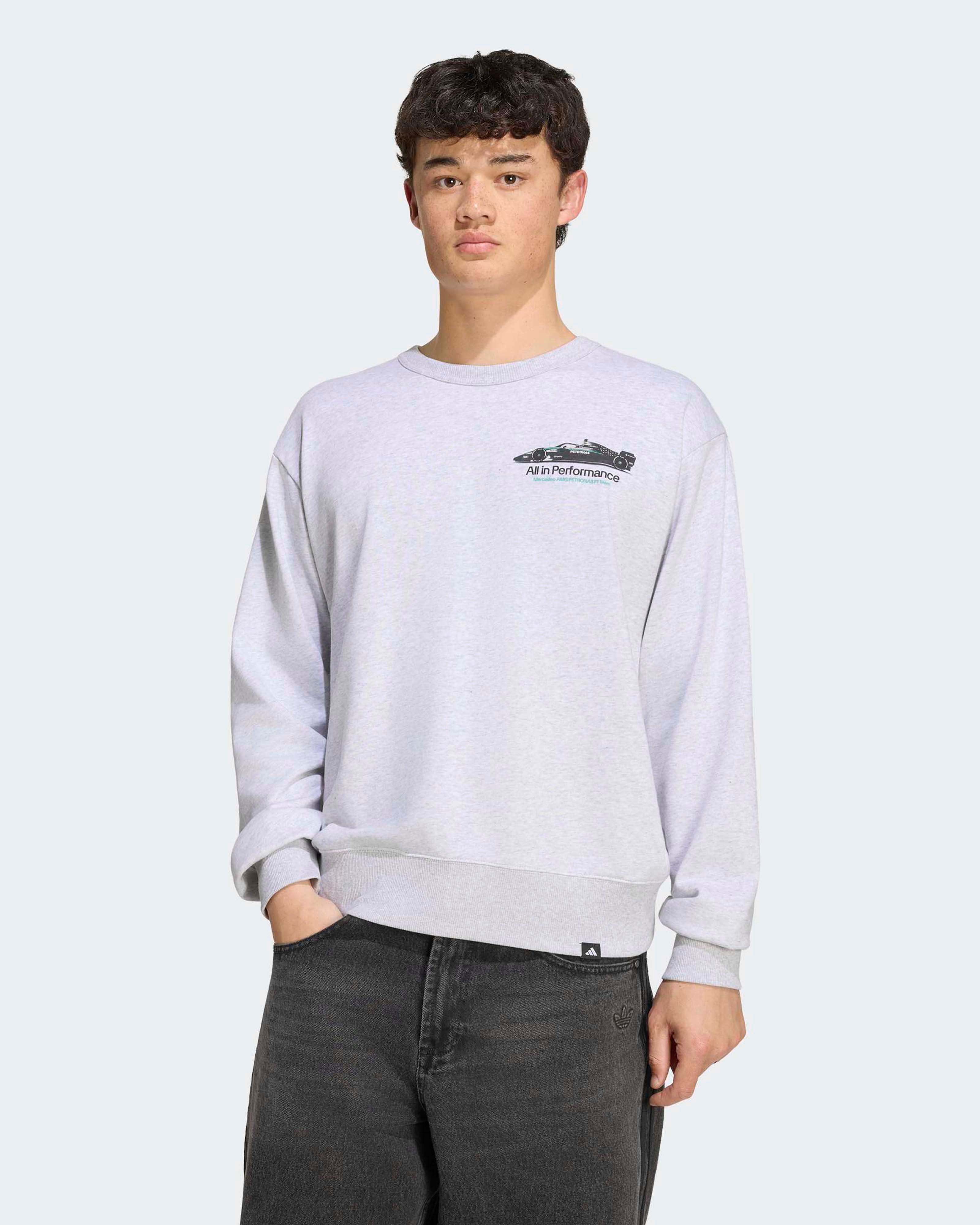 Mens Graphic Sweatshirt Grey