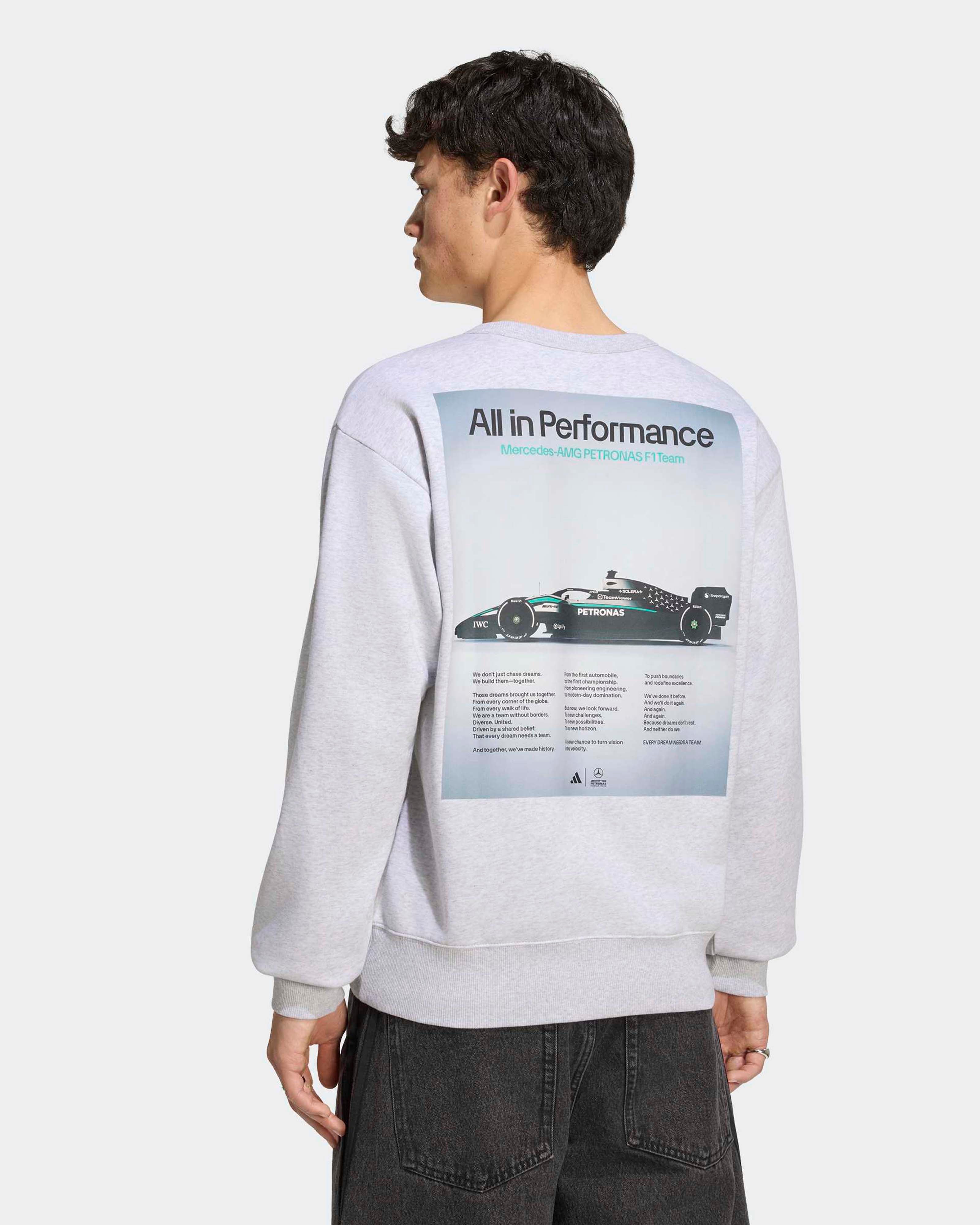 Mens Graphic Sweatshirt Grey