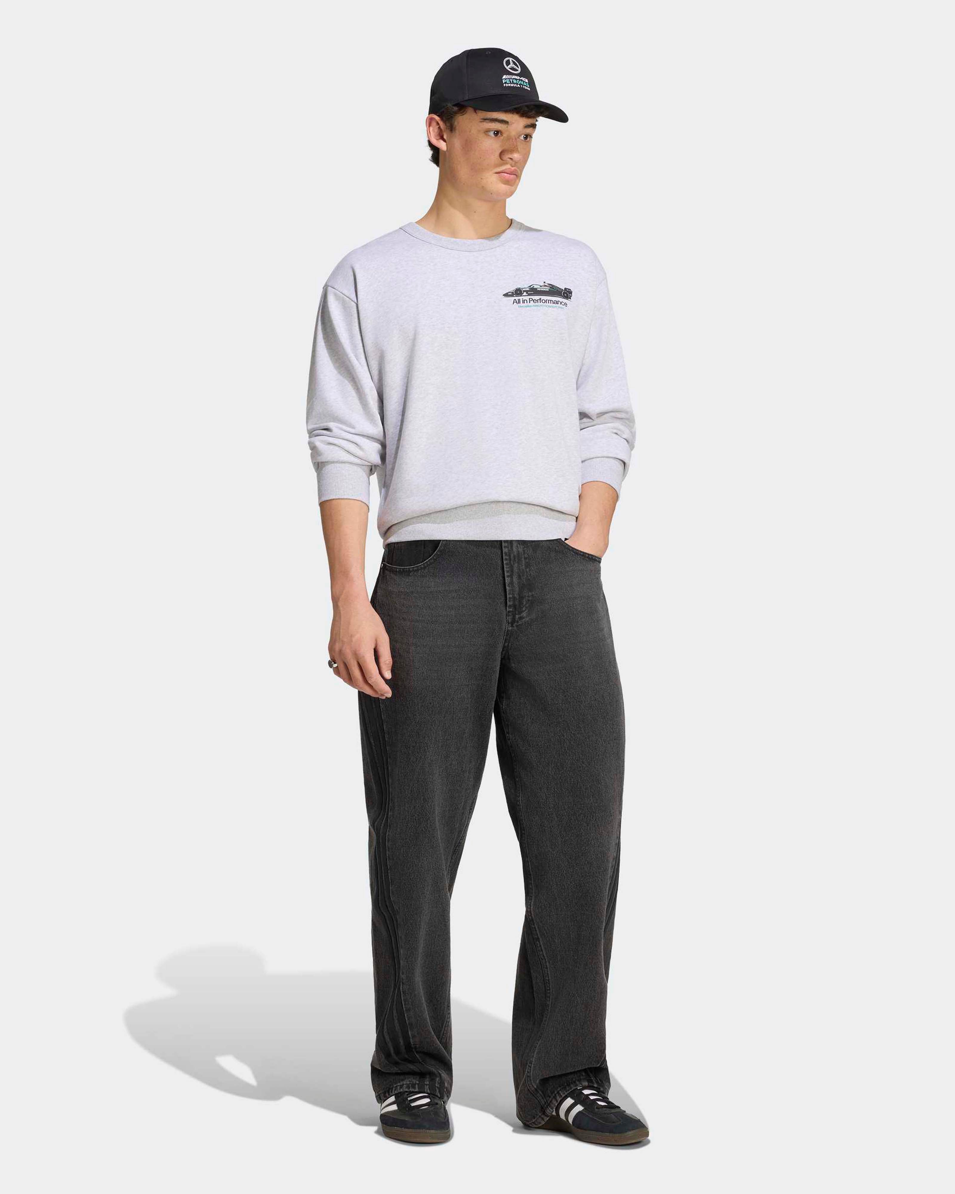 Mens Graphic Sweatshirt Grey
