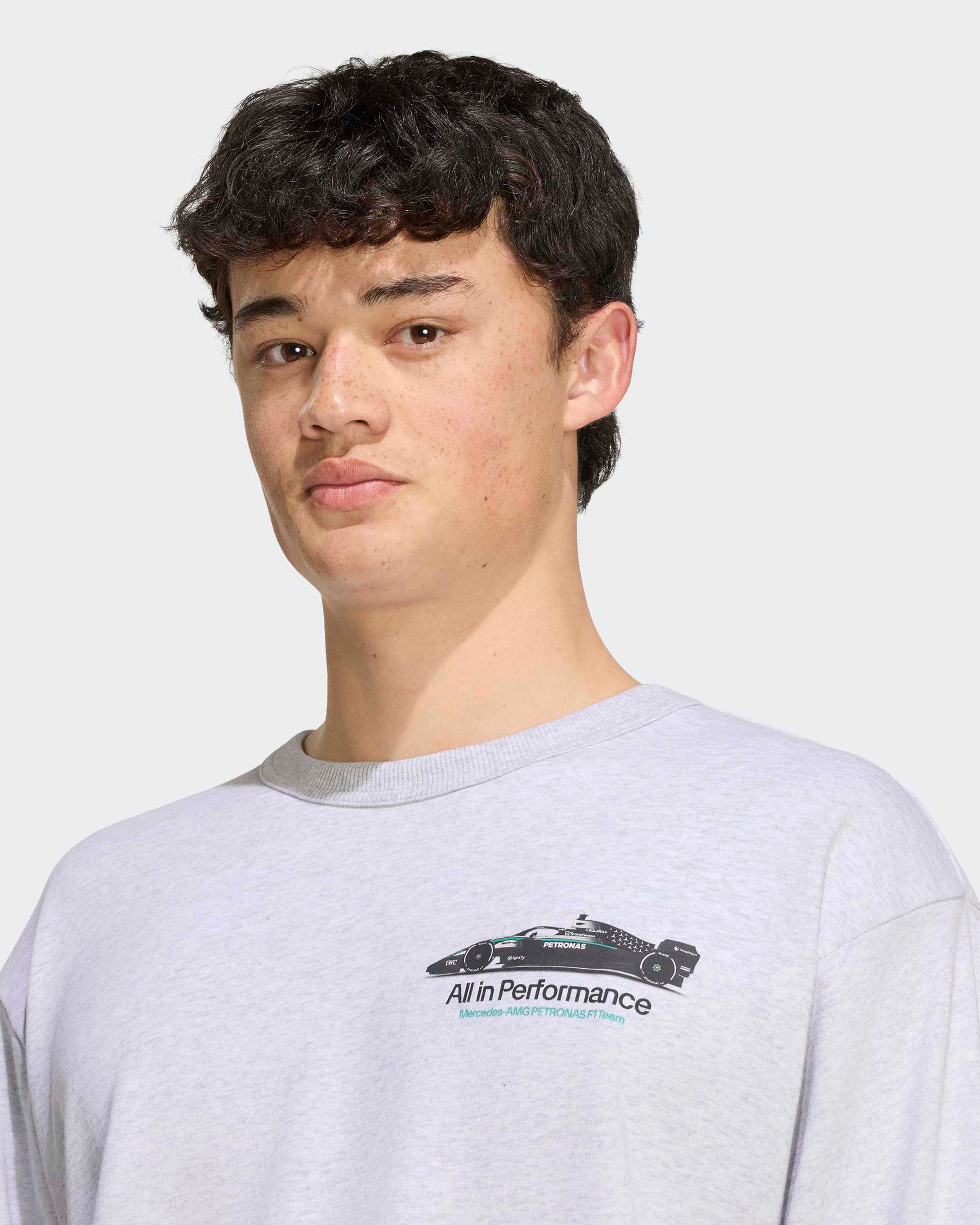 Mens Graphic Sweatshirt Grey