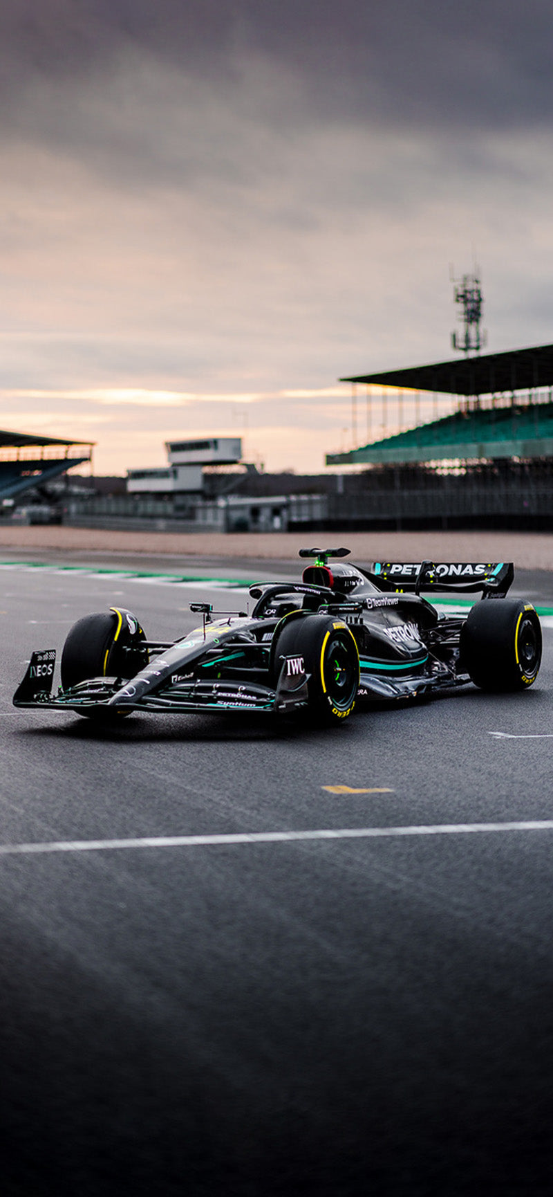 Camo Mug - Mercedes-AMG Petronas