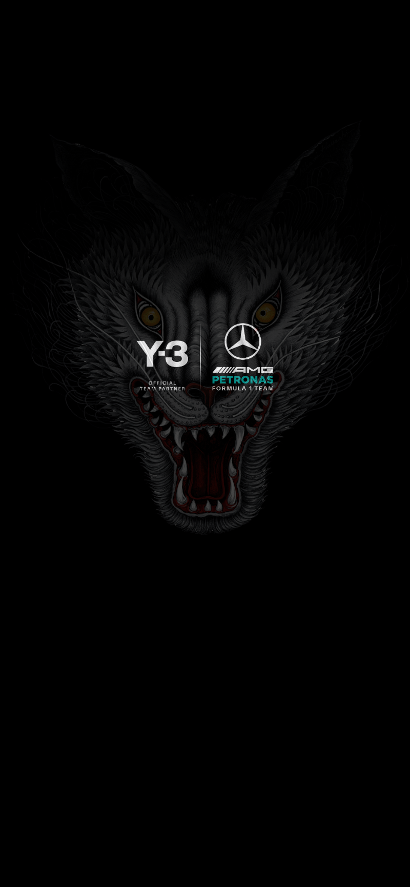 Official Mercedes-AMG PETRONAS F1 Team Store